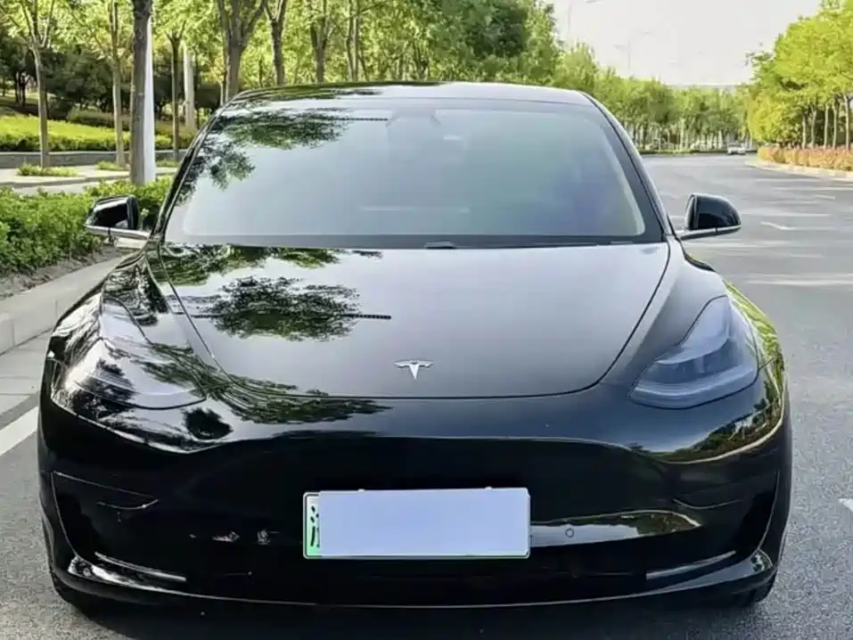 Tesla Model 3 2021 — фото 2