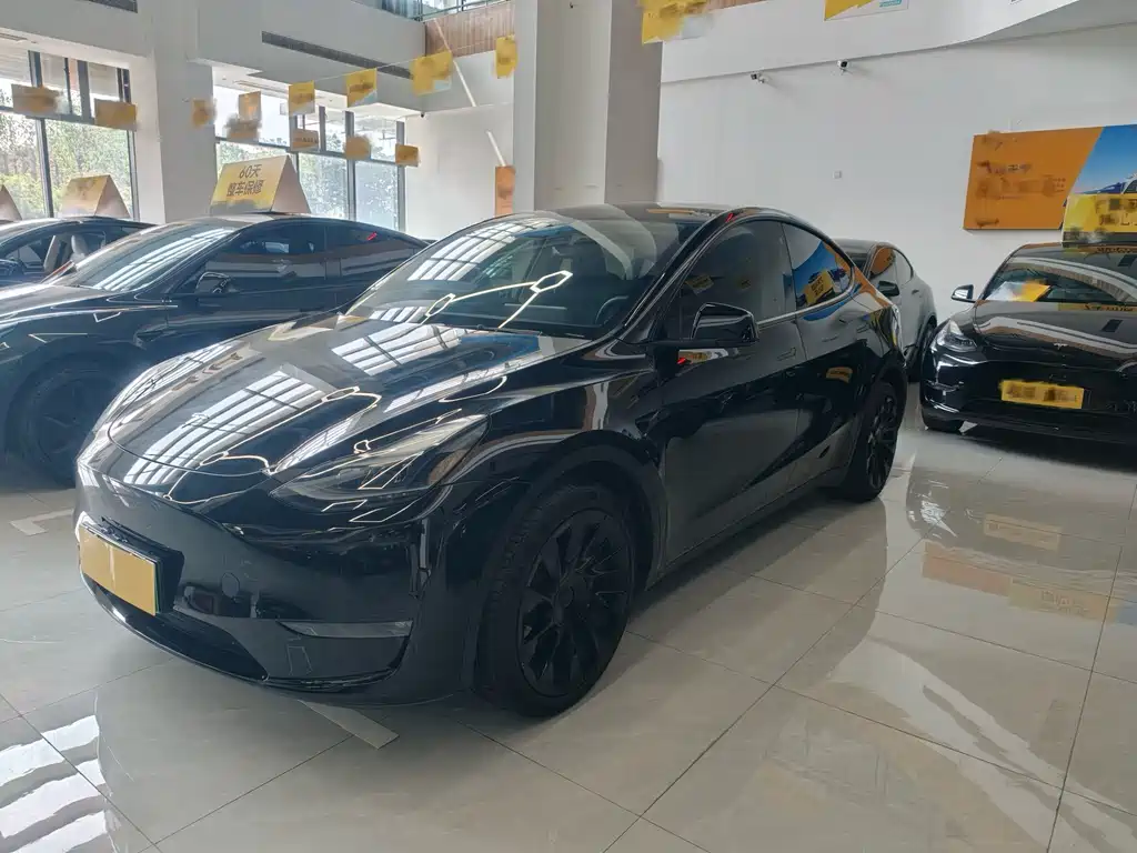 Tesla Model Y 2021