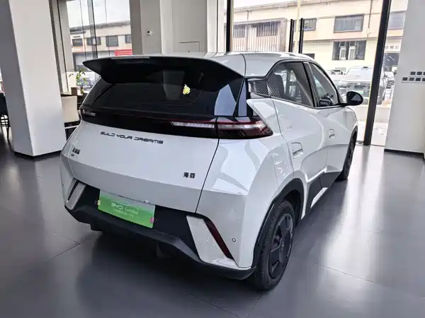 BYD Seagull 2024