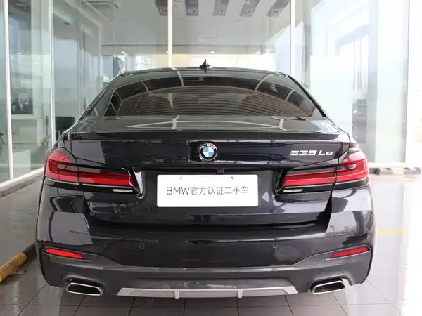 BMW 5 Series New Energy 2022