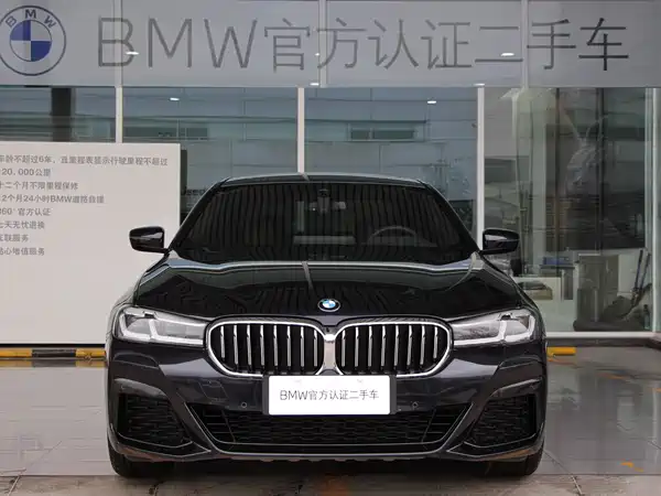 BMW 5 Series New Energy 2022