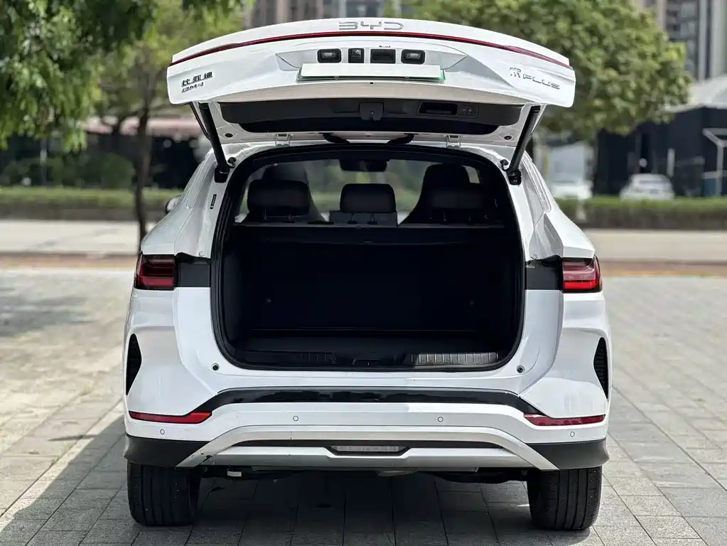 BYD PLUS New Energy 2024 — фото 15