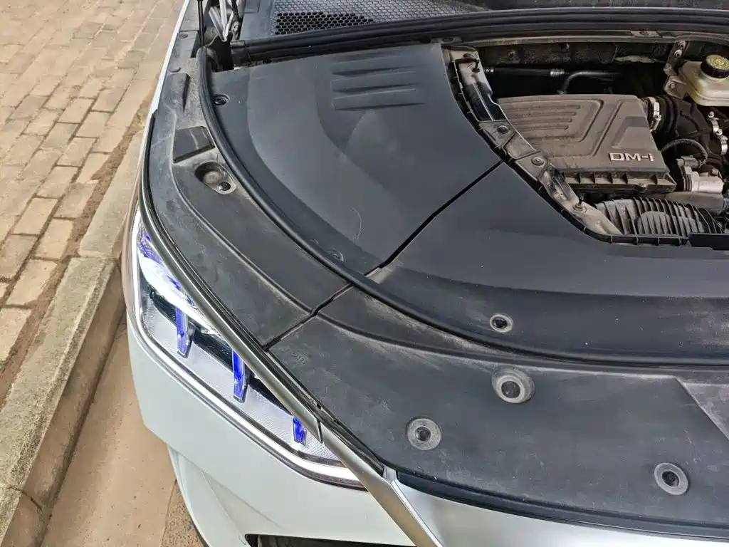 BYD Song PLUS New Energy 2023 — фото 20