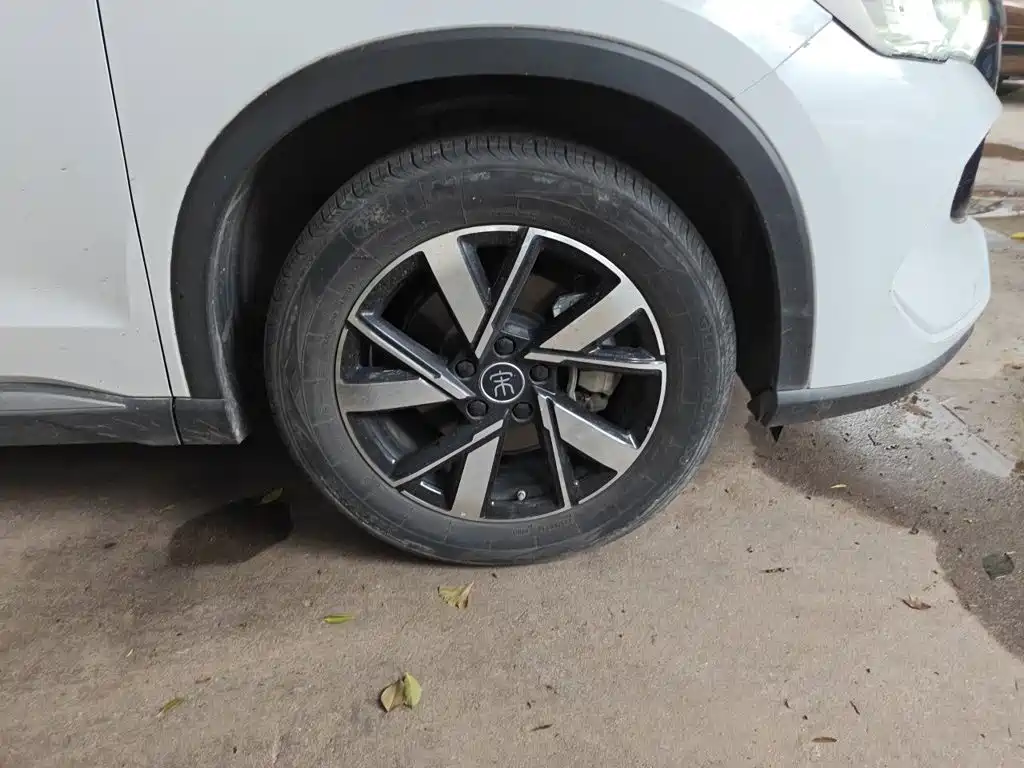 BYD Song Pro New Energy 2024 — фото 26