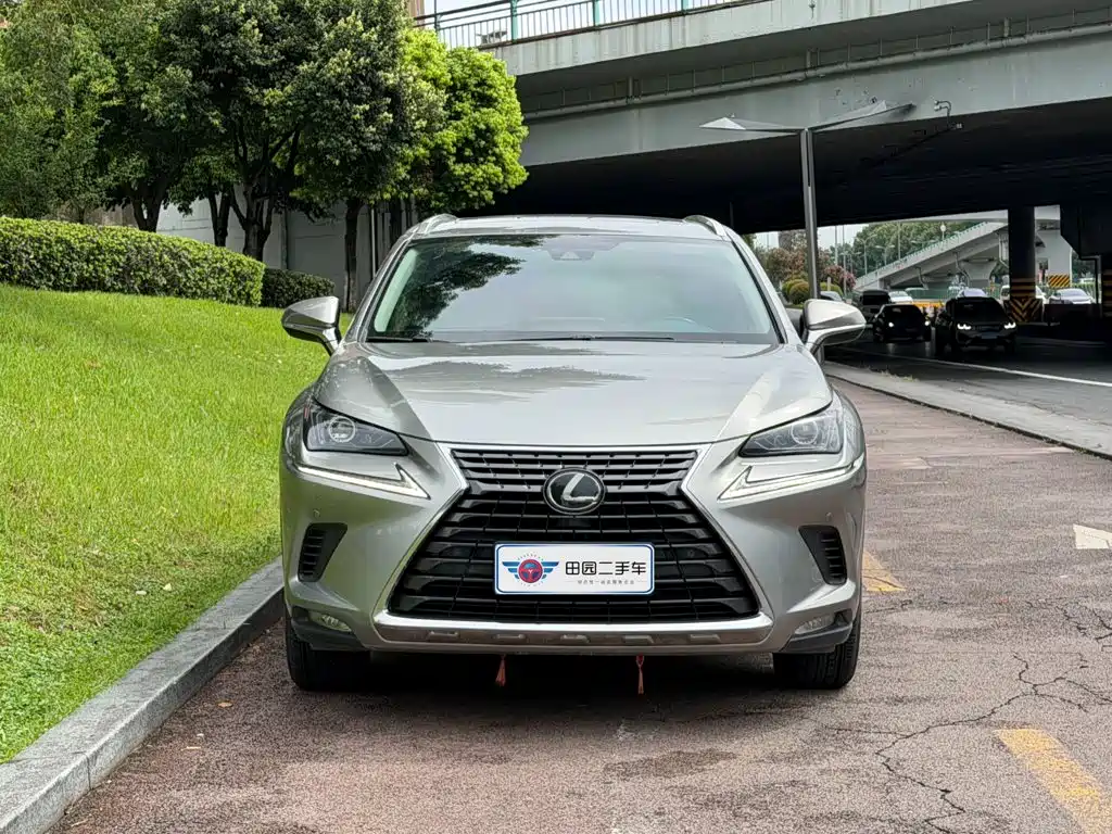 Lexus NX 2019 — фото 2