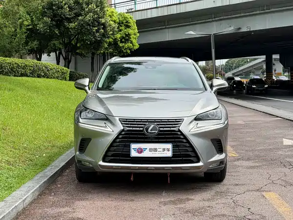 Lexus NX 2019