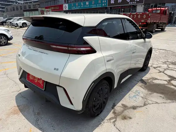 BYD Seagull 2024