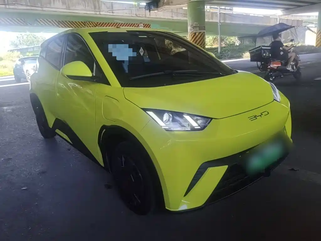 BYD Seagull 2024