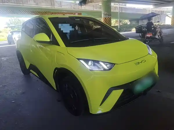 BYD Seagull 2024