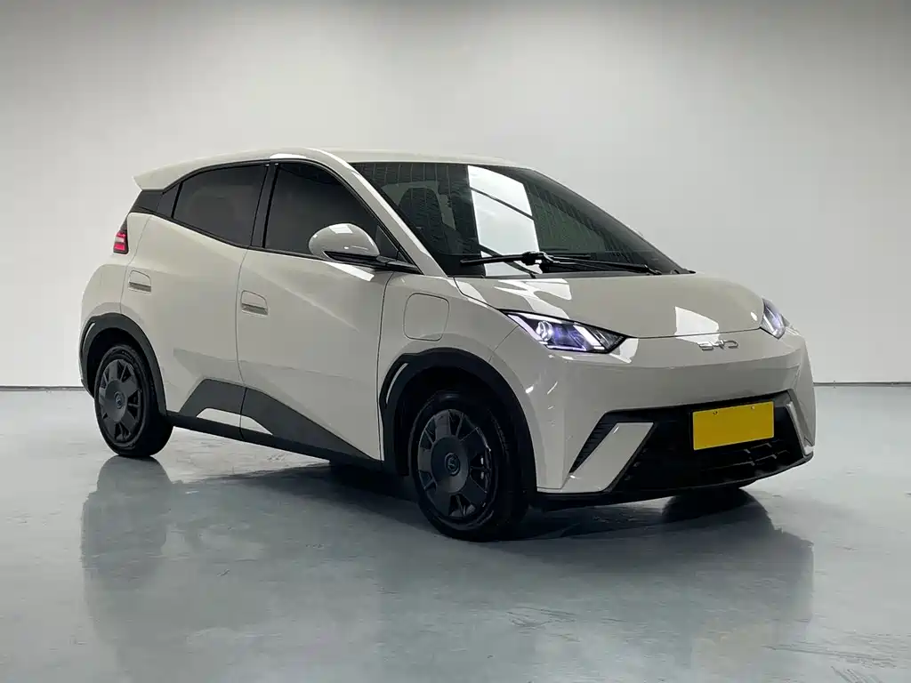 BYD Seagull 2025