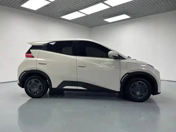 BYD Seagull 2025