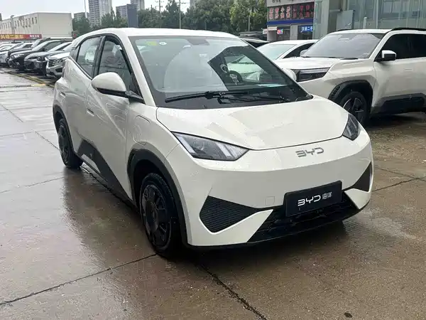 BYD Seagull 2026