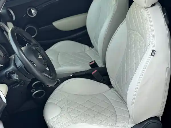 MINI 2013