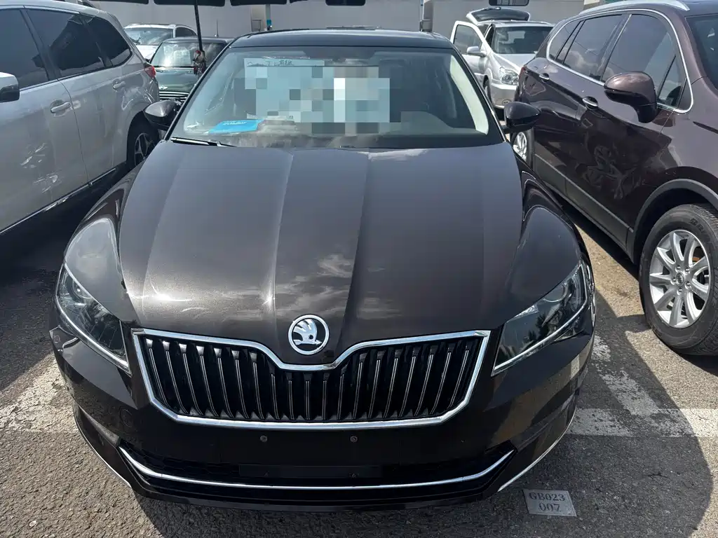 Skoda Speedy 2017
