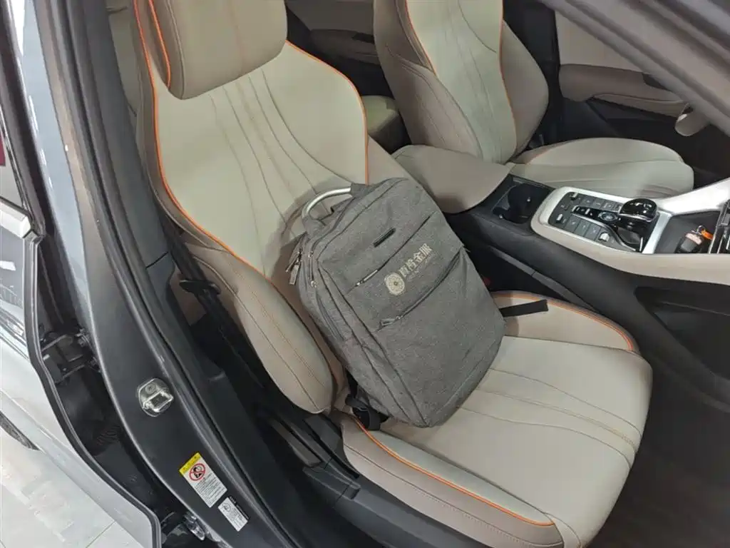 BYD Pro New Energy 2025 — фото 20