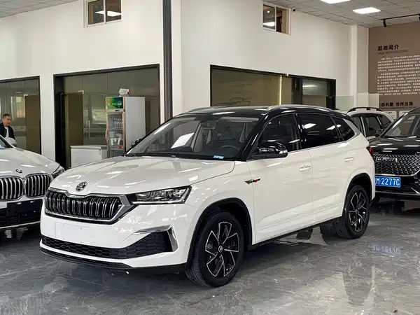 Skoda Kamiq 2021