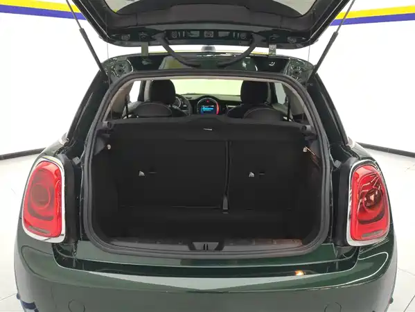 MINI MINI 2019