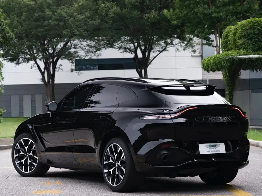 Aston Martin DBX 2022 — фото 5