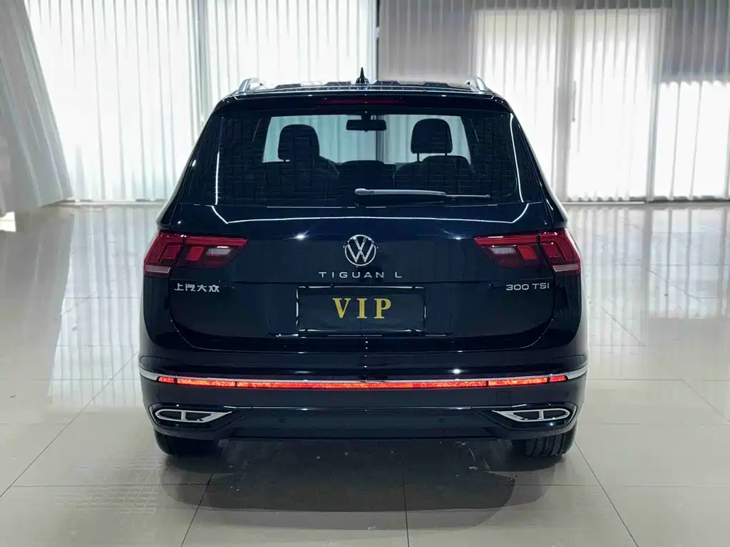 Volkswagen Tiguan L 2024 — фото 6