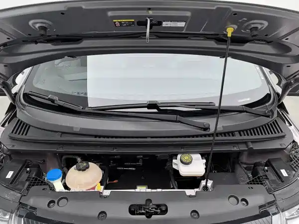 BYD Dolphin 2022