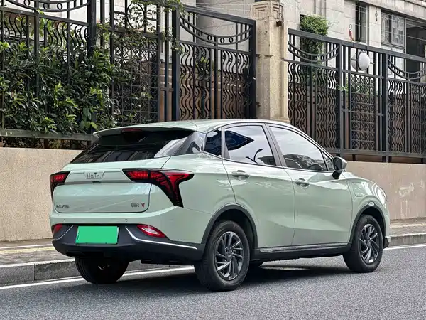 Neta V 2022
