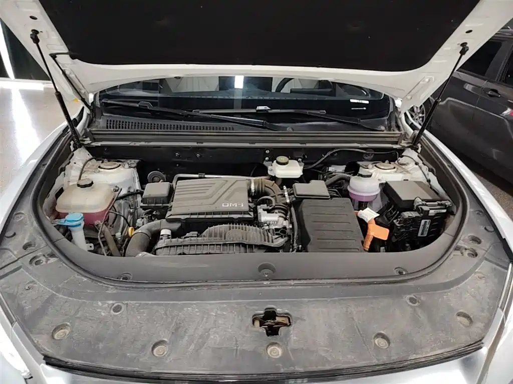 BYD Pro New Energy 2023 — фото 20