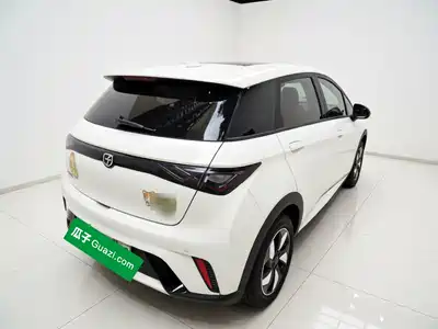 BYD Dolphin 2026