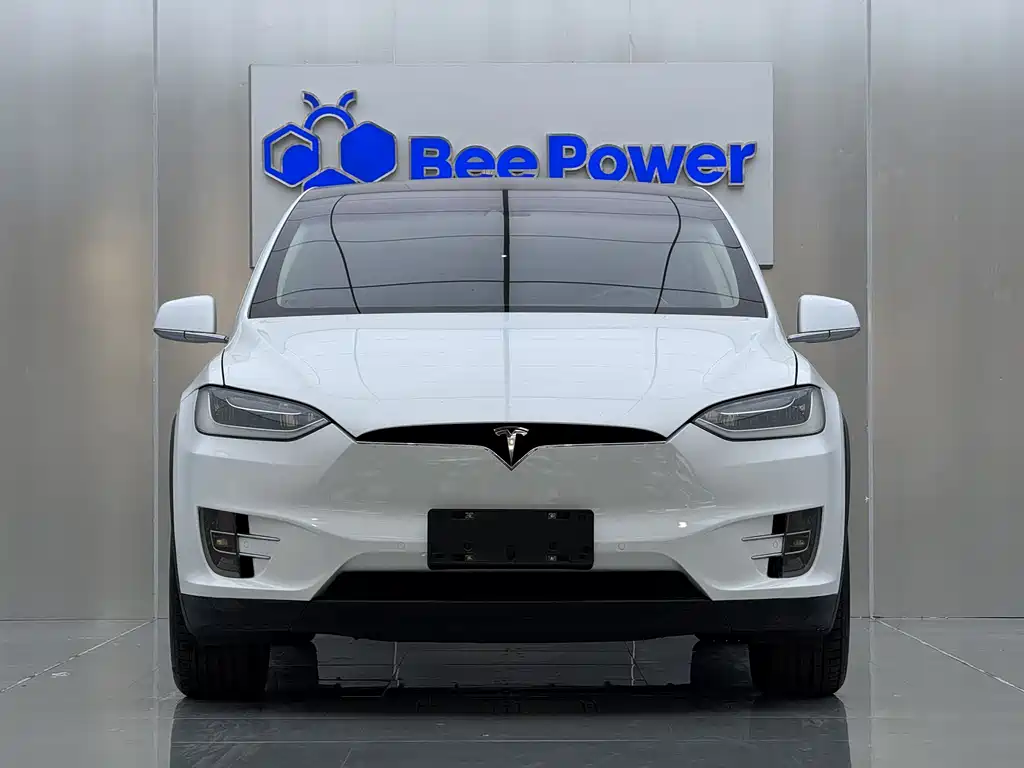 Tesla Model X 2016 — фото 2