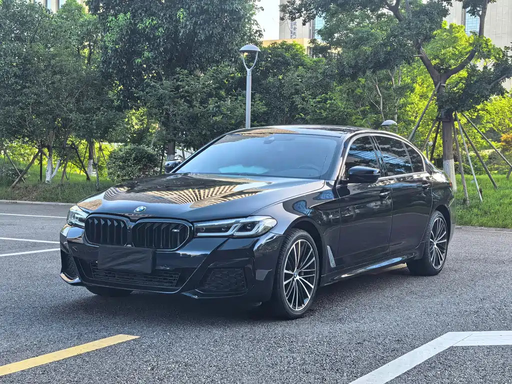 BMW 5 Series 2021