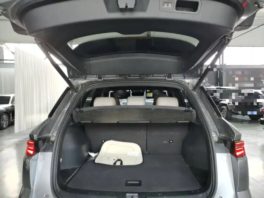 BYD Song Pro New Energy 2024 — фото 19