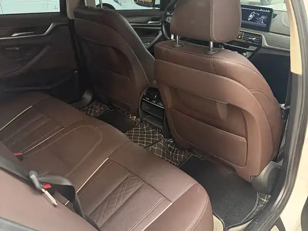 BMW 5 Series New Energy 2021