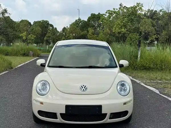 Volkswagen Beetle 2010