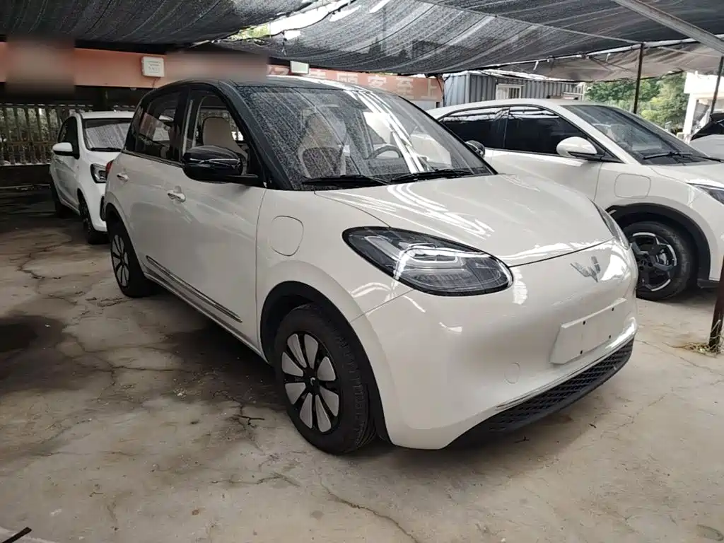 Wuling Bingo 2023