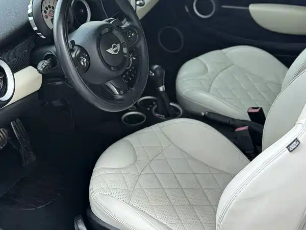 MINI 2013