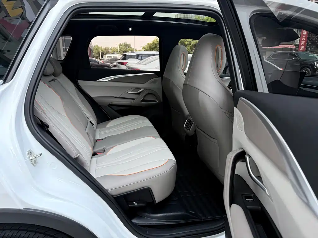 BYD Pro New Energy 2024 — фото 28