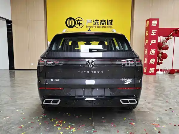 Volkswagen Tavendor 2024