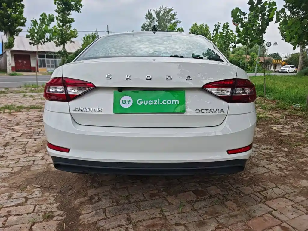Skoda Octavia 2019 — фото 6