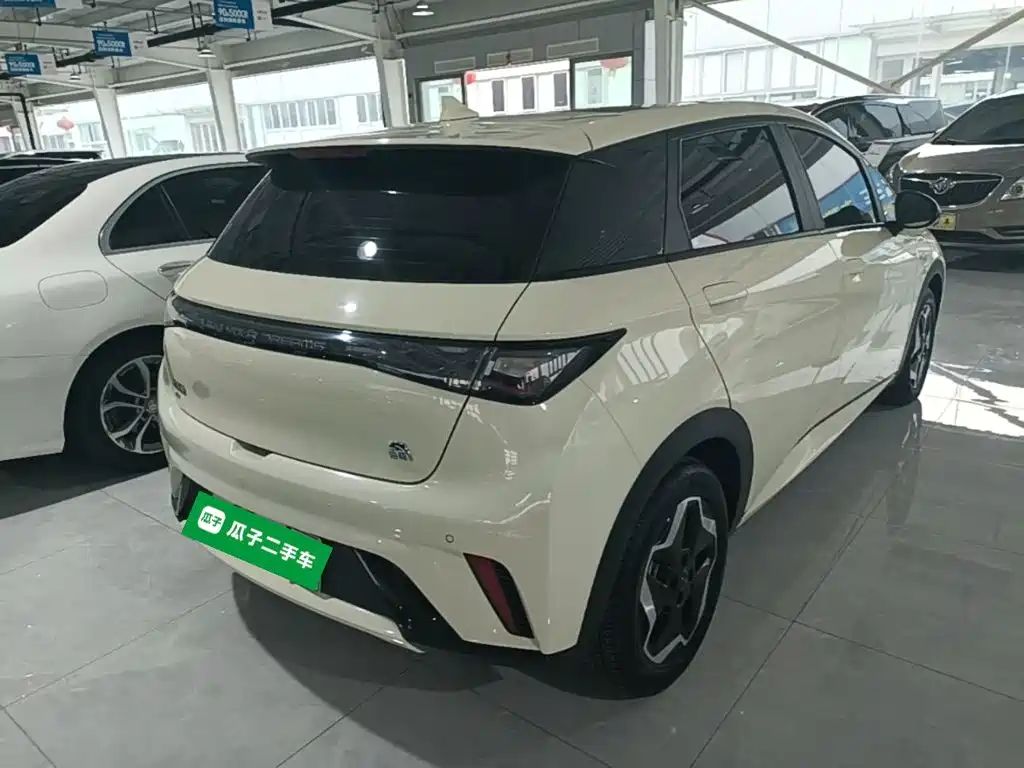 BYD Dolphin 2022