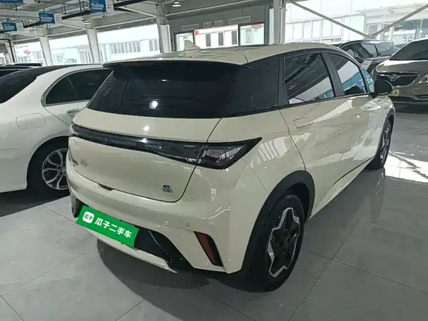 BYD Dolphin 2022