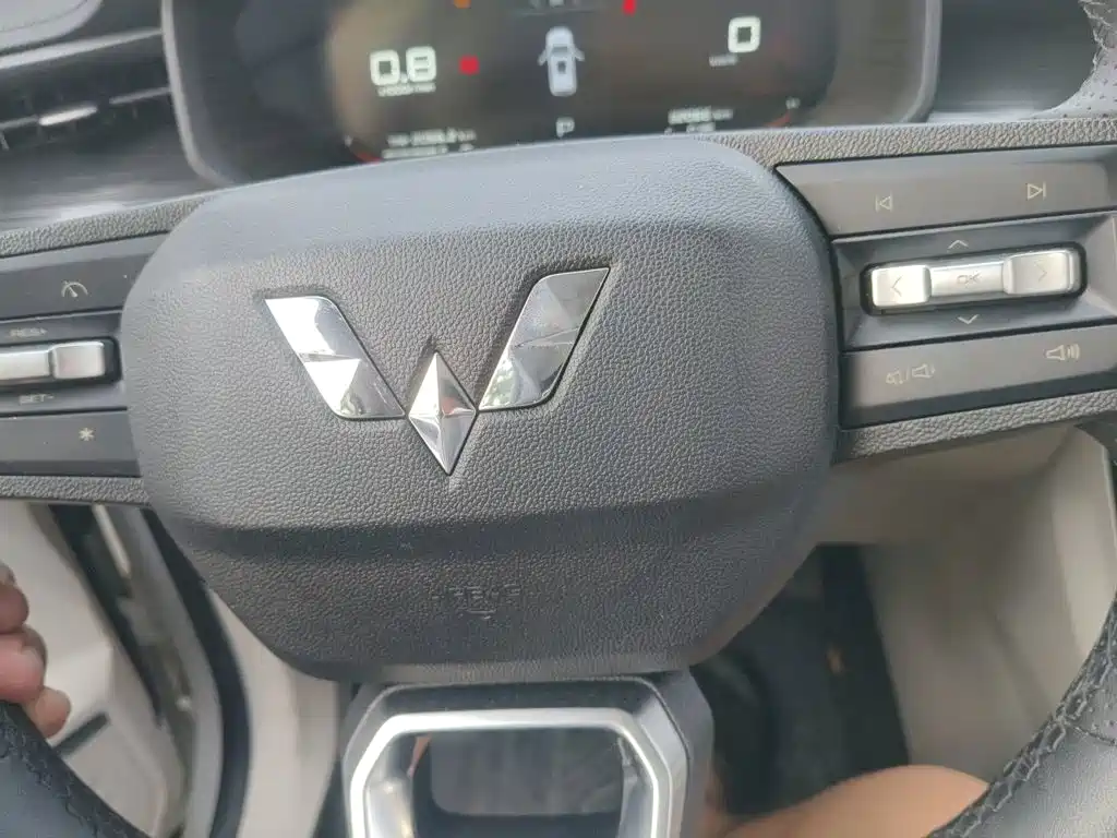 Wuling Star 2021 — фото 12