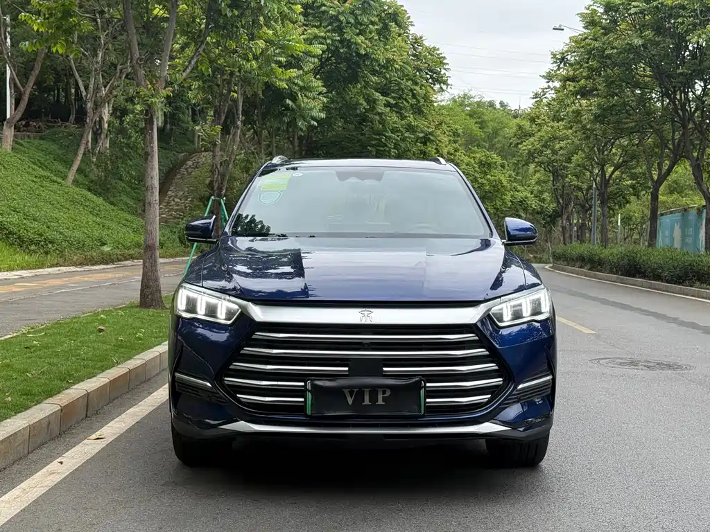 BYD Pro New Energy 2025 — фото 4