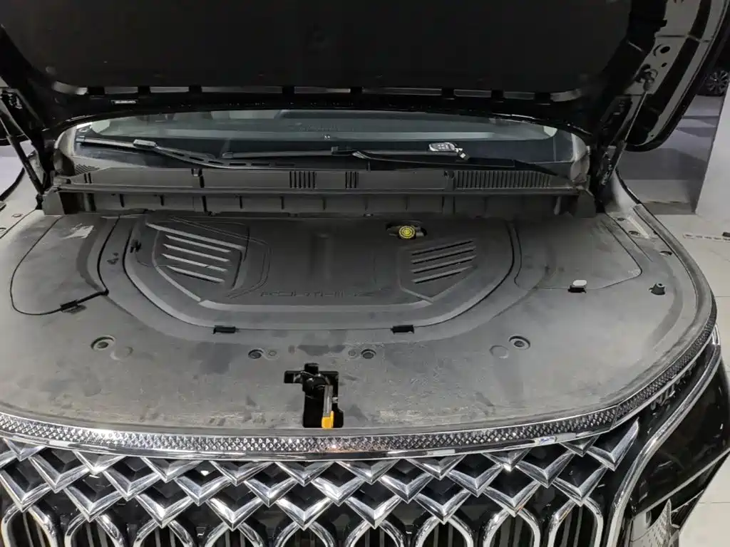 Dongfeng Forthing Xinghai V9 2025 — фото 20