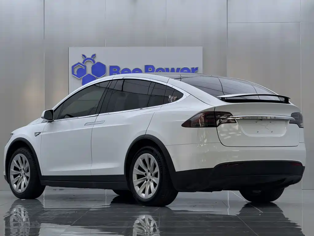 Tesla Model X 2016 — фото 8