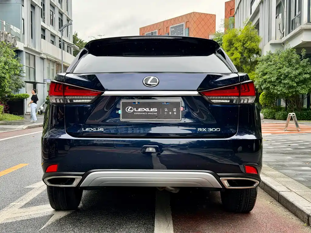 Lexus RX 2022 — фото 19