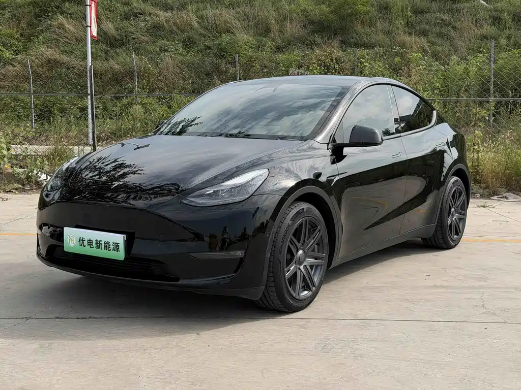 Tesla Model Y 2021 — фото 1