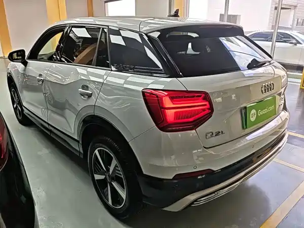 Audi Q2L E-Tron 2020