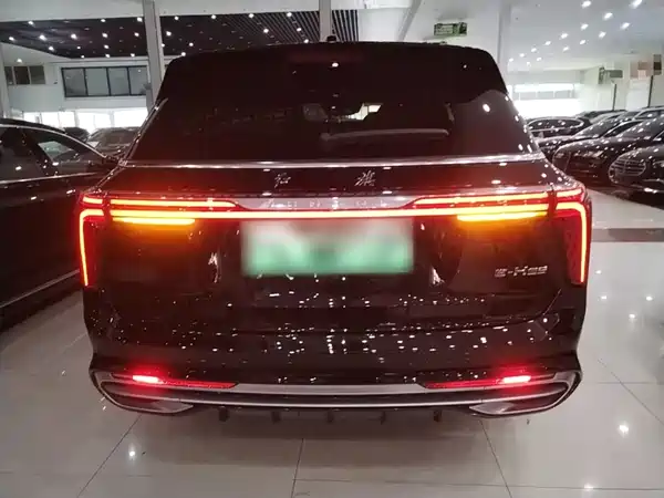Hongqi E-HS9 2023