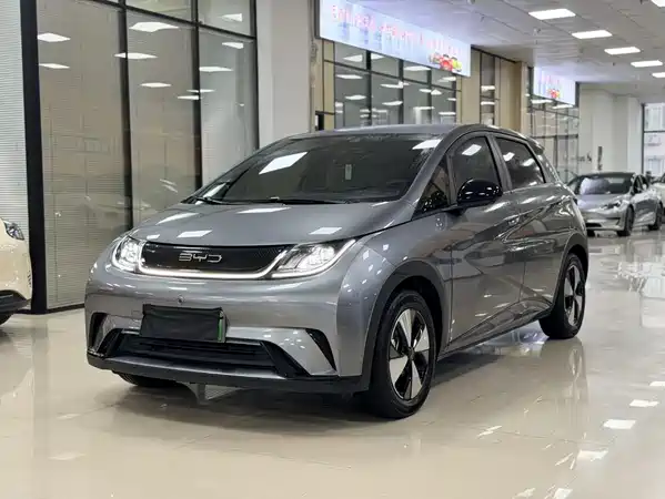 BYD Dolphin 2024