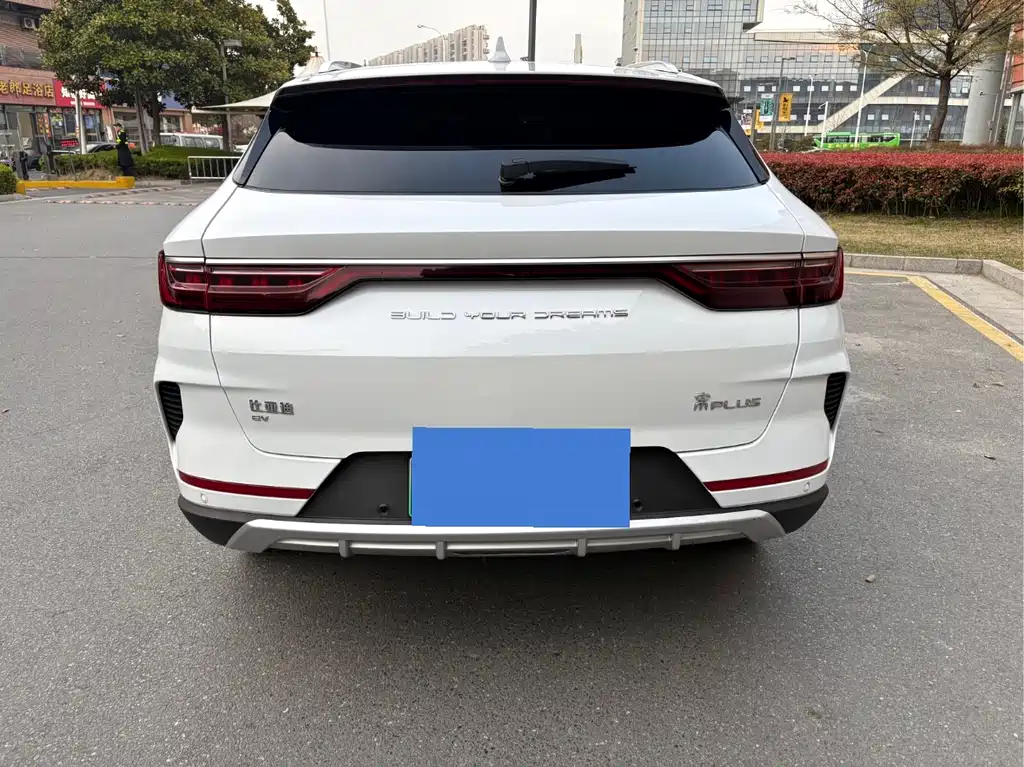 BYD PLUS New Energy 2022 — фото 10