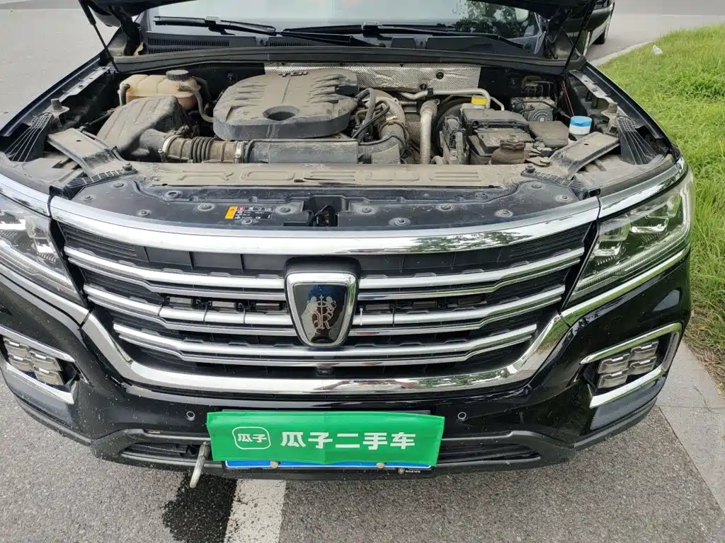 Roewe RX8 2021 — фото 16